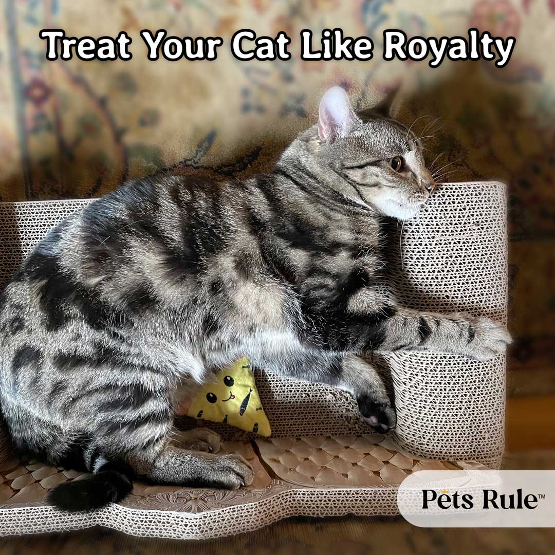 Royal Cat Couch - Cardboard Cat Scratcher Couch & Fancy Cat Bed
